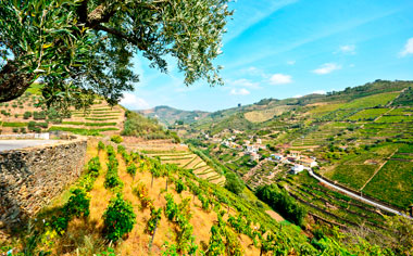 Douro Valley near Régua